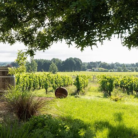 Loft Tout Equipe Au Coeur D'Un Domaine Viticole Campsas Zewnętrze zdjęcie